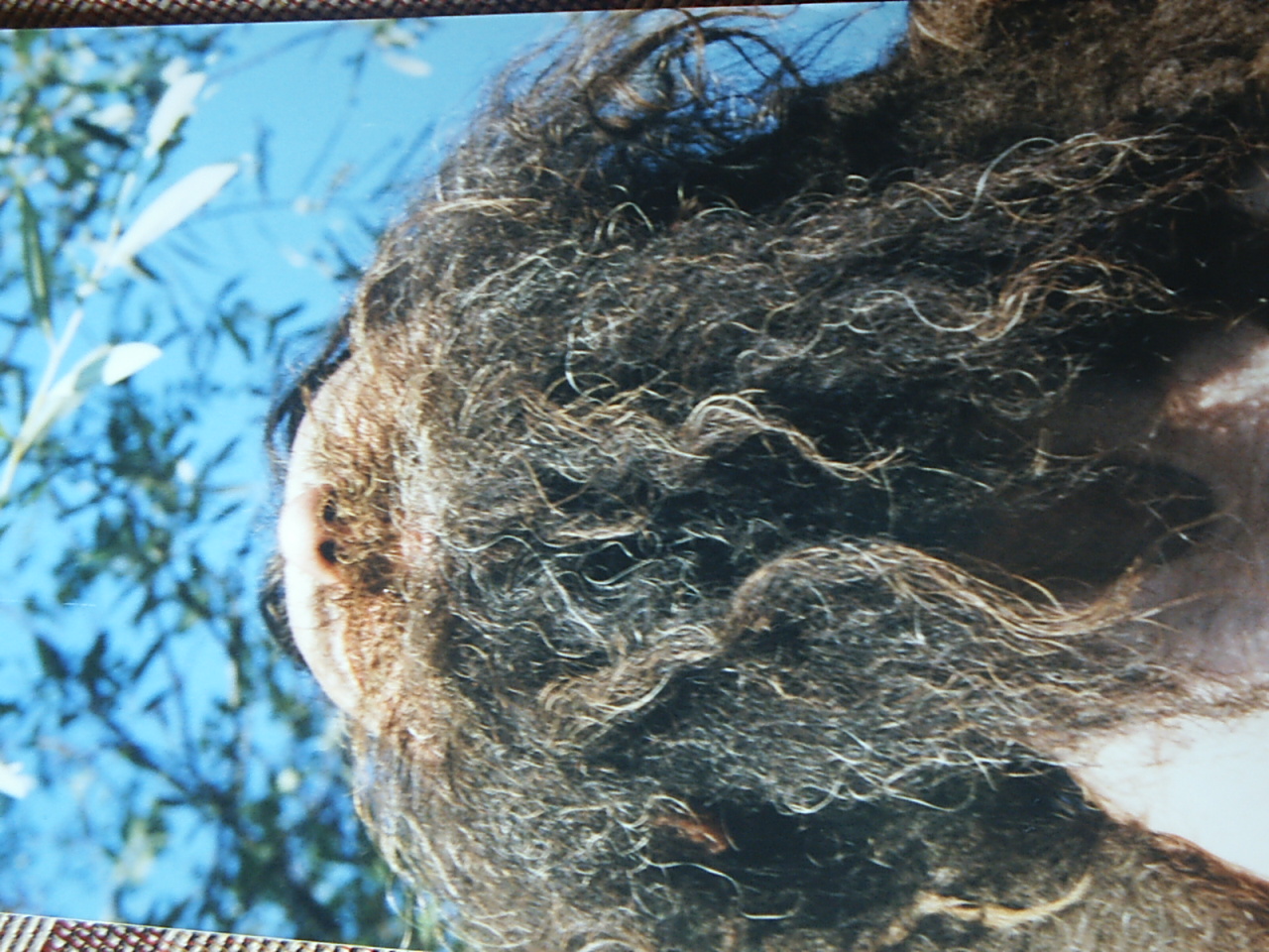 Bild 39 von 94  -  489 kB