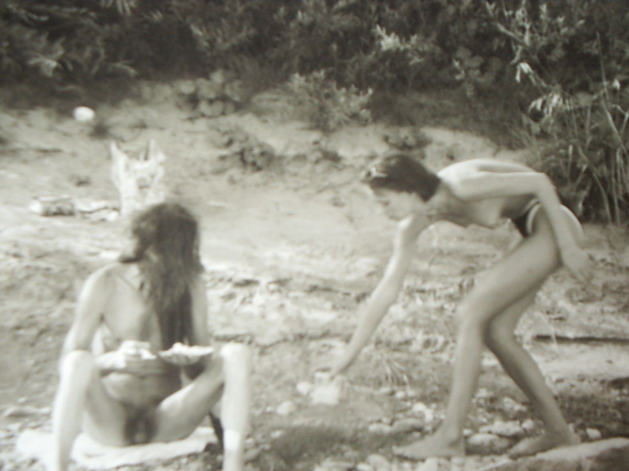 Bild 50 von 94  -  316 kB